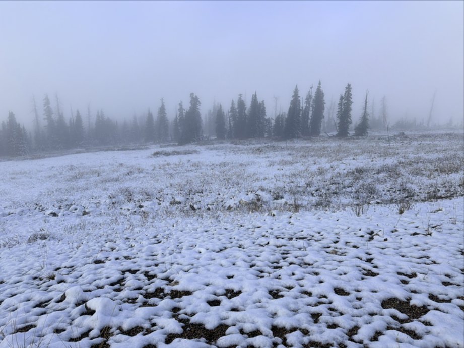 NWSSaltLakeCity's tweet photo. ❄️In addition to the heavy rain and flooding across southern Utah, snow has fallen at the higher elevations above 10,500 feet. These photos were sent in by our technicians this morning during a trip up to KICX which is at 10,757 feet. #utwx https://t.co/IHmH1eQZhA