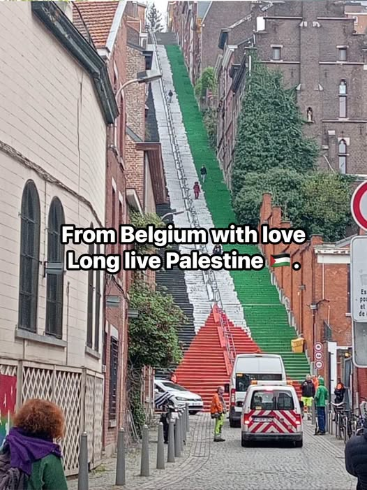 LailaPalestini1's tweet photo. Free Palestine✌️ https://t.co/ZUK3xT0GXW