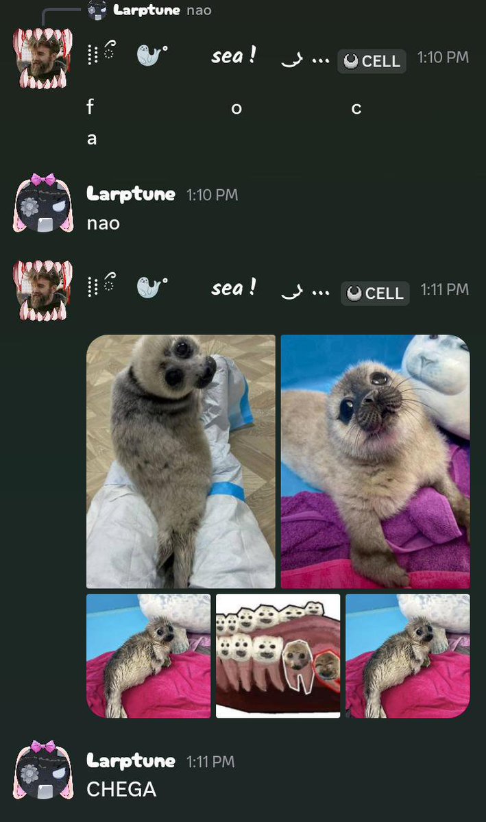opaltune's tweet photo. eu JURO que eu vou matar ele algum dia. 😭 #/killsally https://t.co/YadJseGBCV