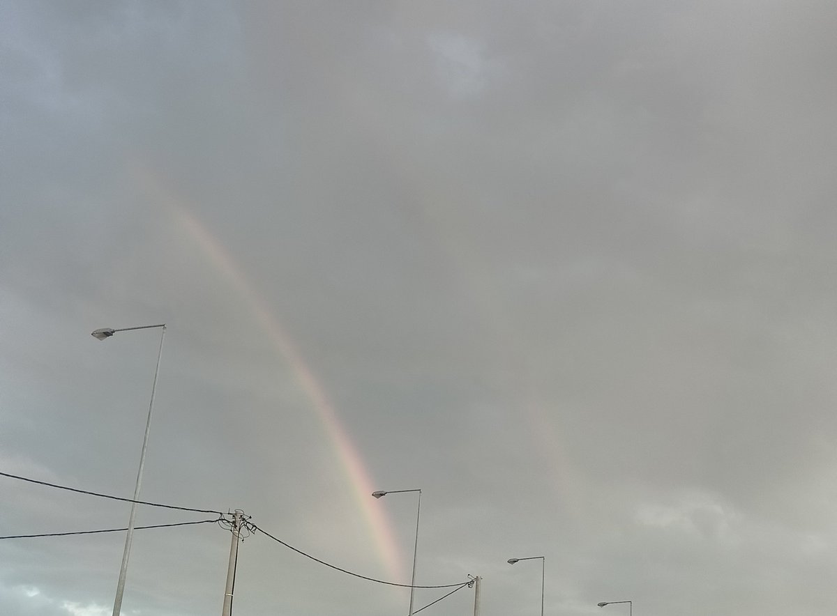 Rena2808's tweet photo. Δεν φαίνεται καλά, όμως είναι διπλό...
@o_pous θα μας εξηγήσετε το φαινόμενο κ. καθηγητά? 🙂 https://t.co/K3Ujxot5I8