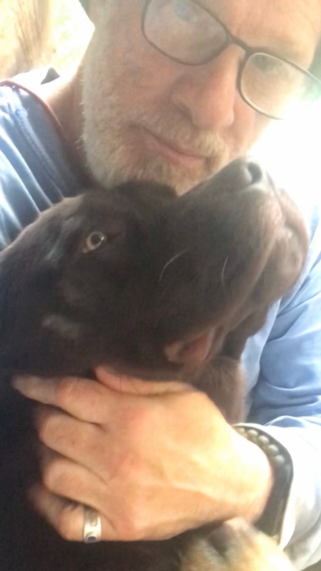 ItalianBuilder's tweet photo. @mom2mastiffs @kasie I give you "WILSON" like Wilson Wilson Wilson from "Castaway" fame said the exact same way as Hank's did!! https://t.co/QPg6o9YZMK