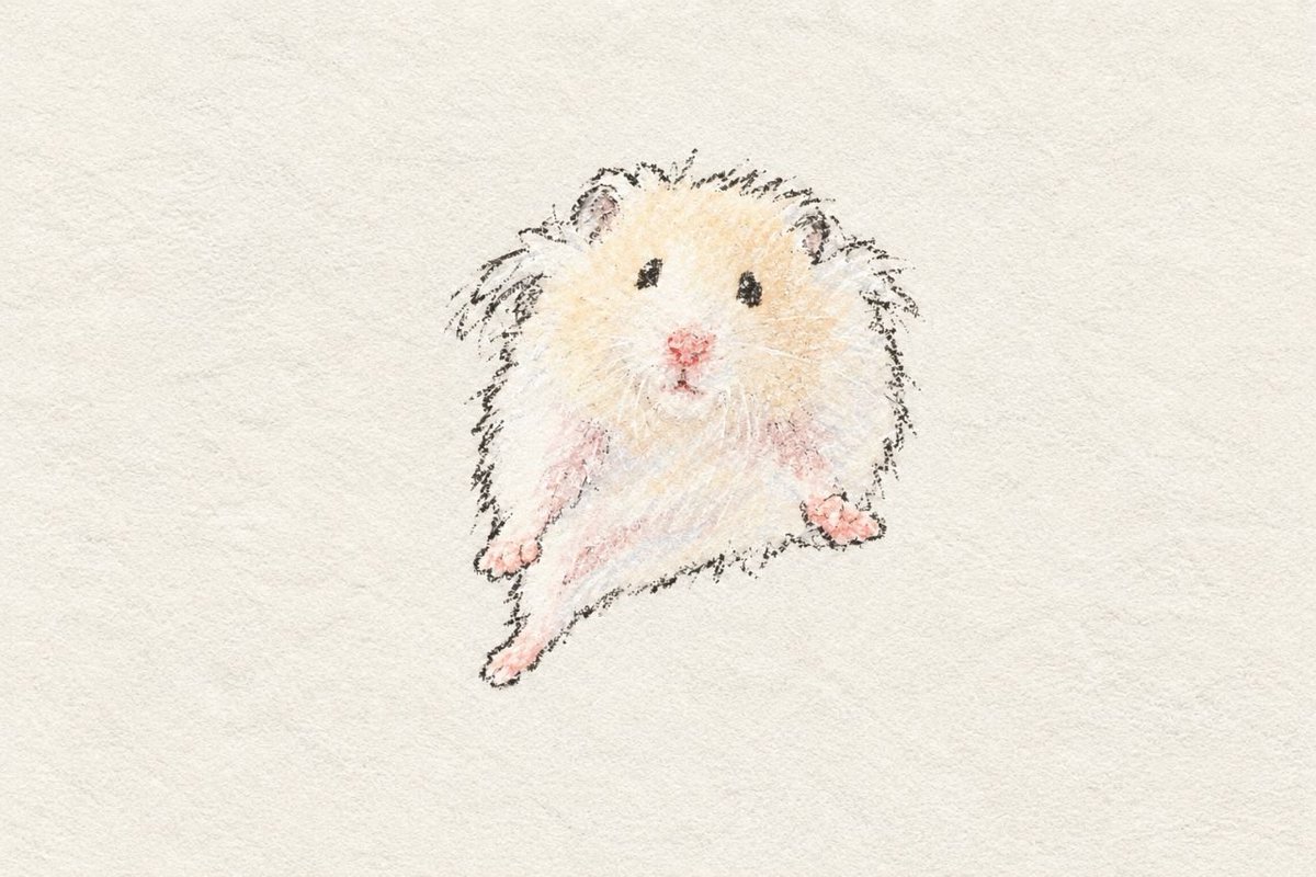 TweetsOfHamster's tweet photo. https://t.co/sEW11lpPDg