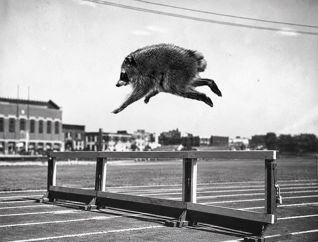 JAHVER's tweet photo. @garyvee Jimothy never runs on empty https://t.co/DiGV7y9FqI