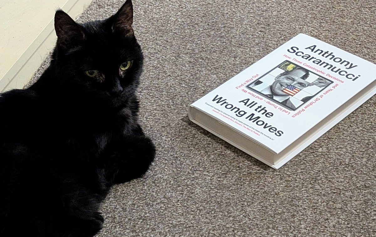HollyKendrick13's tweet photo. @Scaramucci My 19 year old cat, India, tried the audiobook but she didn't like the earbuds so now she's pondering the book 🐈‍⬛📚 https://t.co/Q2f1fW2tBs