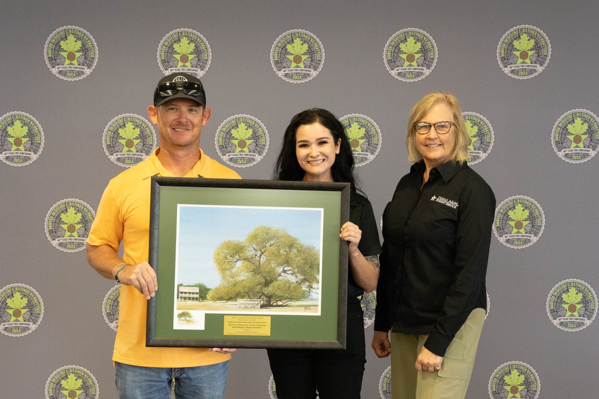 TXForestService's tweet photo. Congratulations to the 2026 Texas Tree Award recipients! 🌳 These individuals, organizations and programs are making an impact across Texas through tree care, education, workforce development and community forestry. https://t.co/p0xayhMVLv