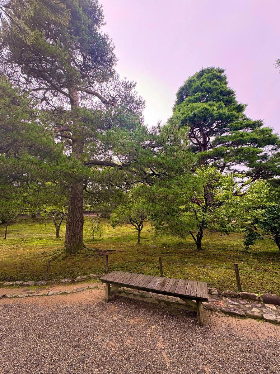 justonestep2025's tweet photo. Sometimes, all you need is a bench and a little time. 🌿✨

#ThoughtfulTuesday #PeacefulMoments #JapaneseGarden https://t.co/P83fYIgNFz