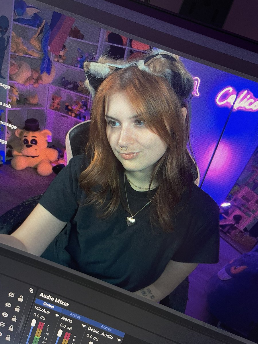 cutecalicottv's tweet photo. i’m live come say hi :3 https://t.co/djQRyP6gEl