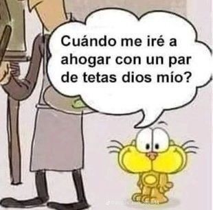 wikipistacho's tweet photo. https://t.co/0DXU5GBOjw
