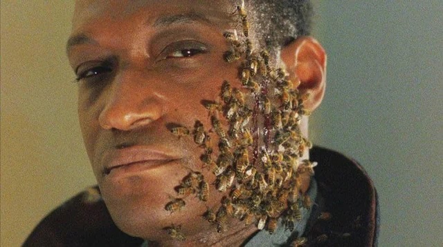 abandomoviez's tweet photo. 🐝 Las abejas de “Candyman” eran reales.

Tony Todd rodó con ellas dentro de la boca y terminó recibiendo 23 picaduras. Incluso había negociado cuánto cobraría por cada una.

Así  filmaron una de las escenas más míticas de los 90s.

👇 Reportaje completo 

https://t.co/nA91xqSxSe https://t.co/DGzmkNo9I4