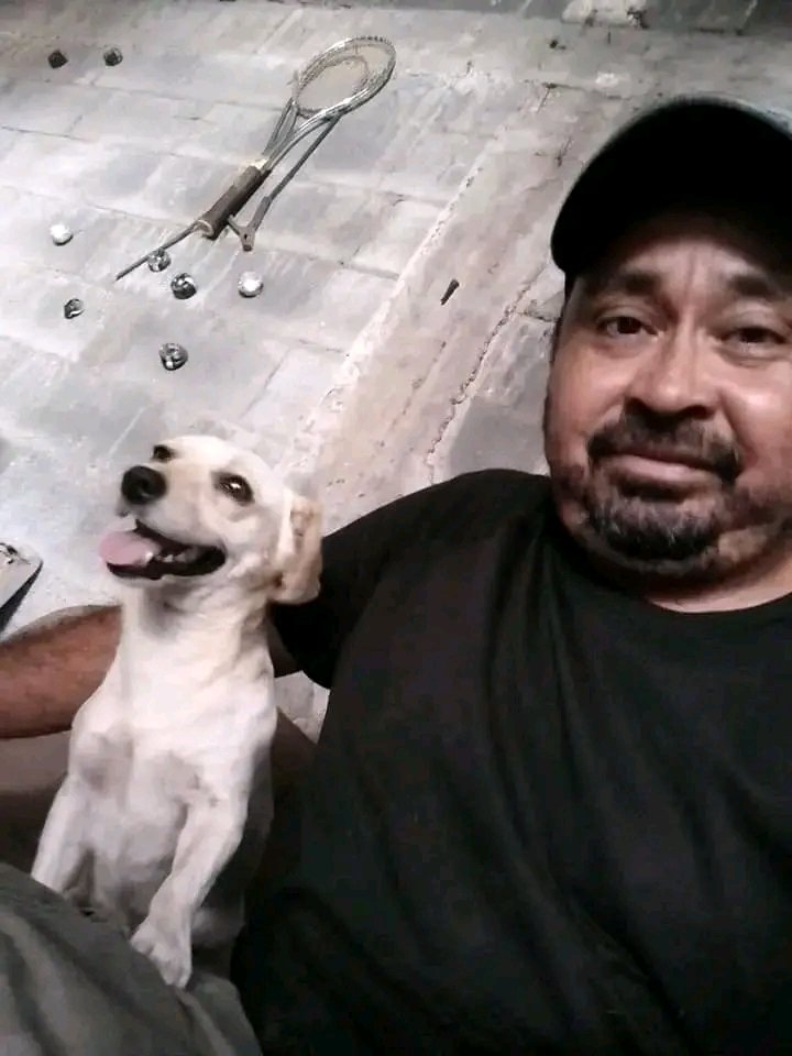 JorgeJaime_1's tweet photo. Siento que el mundo se está derrumbano siento que mi vida se viene abajo pero algo me sostiene y es el amor a ellos ( a   los perritos ) echanos una manita apoyanos https://t.co/TDvKu3TFKC