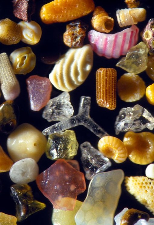 This is what sand looks like magnified up to 300 times

Dr. Gary Greenberg’s photographs reveal the remarkable shapes, colors and tiny natural fragments hidden 
