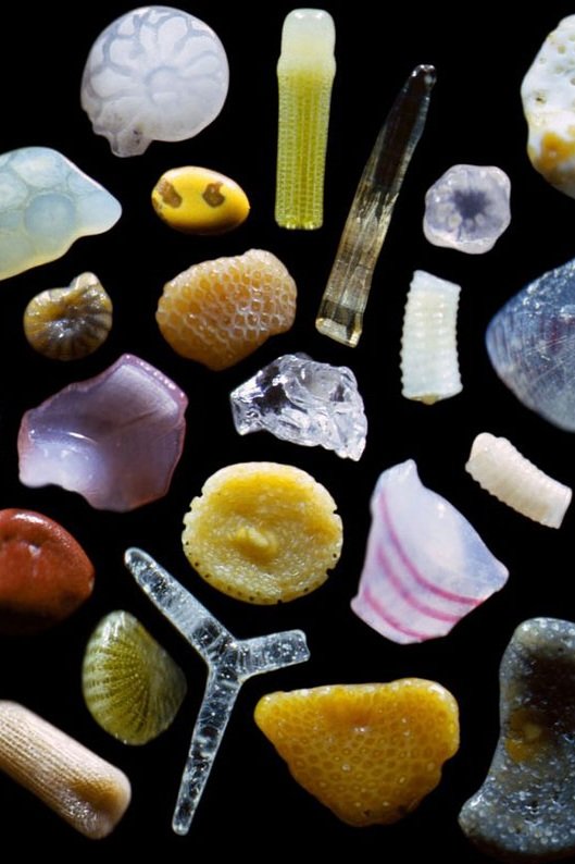 AMAZlNGNATURE's tweet photo. This is what sand looks like magnified up to 300 times

Dr. Gary Greenberg’s photographs reveal the remarkable shapes, colors and tiny natural fragments hidden within individual grains of sand https://t.co/NdZwr3qi5S