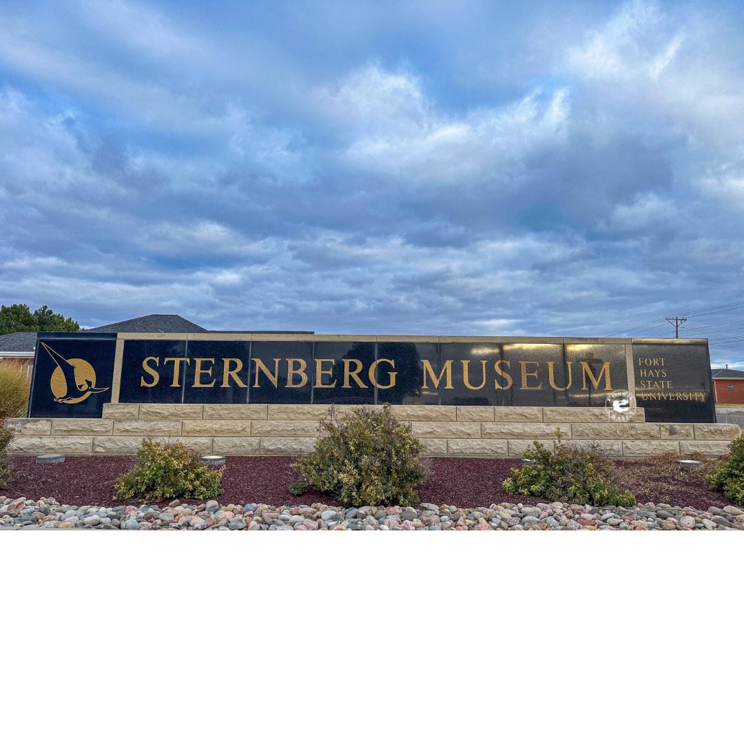 Fossilcrates's tweet photo. We thoroughly enjoyed our visit to the Sternberg Museum in 2023 (scroll way back to see vids).
FHSU looks to be closing it, victim of state budget cuts. I hope tis saved!
#Plesioplatecarpus
#Pteranodon
#Tylosaurus
#Platypterygius
#Xiphactinus
#Gillicus
#Protostega
#FossilCrates https://t.co/l13DNDFbCD