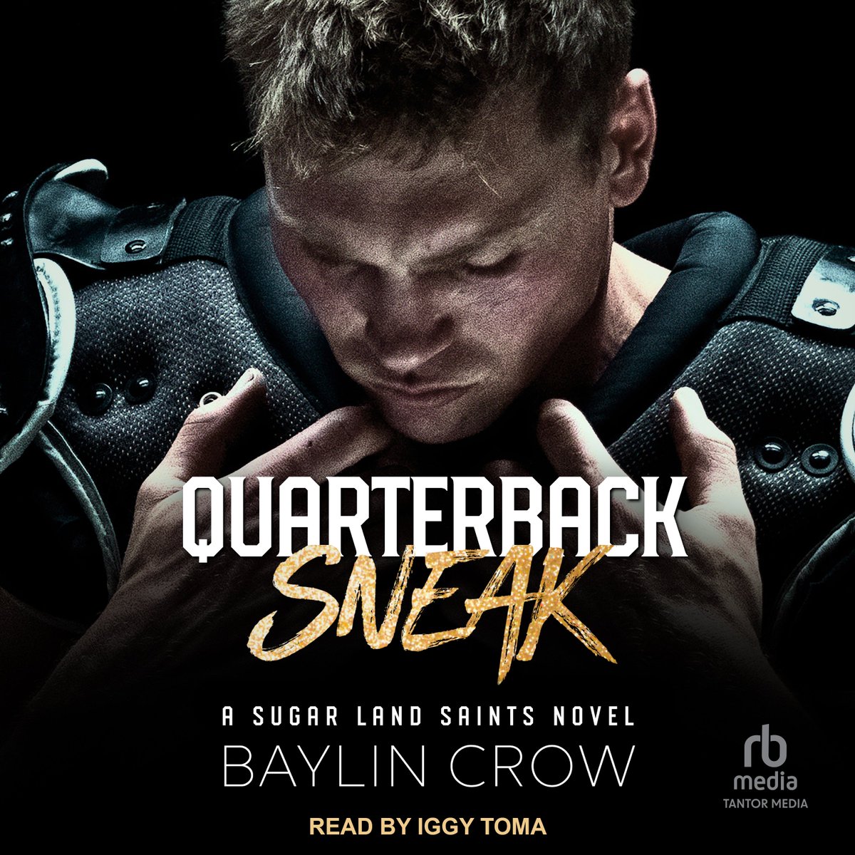 BaylinCrow's tweet photo. It's here! Book One of the Sugar Land Saints series is available now! 🎧💛

Get it here: https://t.co/UrU1TuYWkr https://t.co/wbS3tkyhUy
