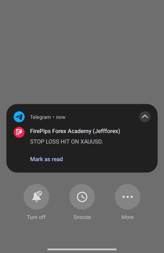 Tj_Forex_'s tweet photo. I no remember when last this idolo hit TP 

Abeg una wey de em signal group mo na update us 😂😂 https://t.co/VcRB7r3Z7L
