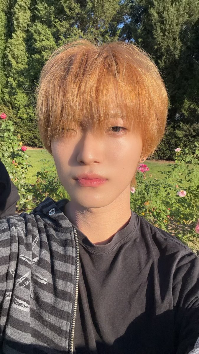 Dreamof1ne's tweet photo. 이제 정말 얼마 안남아따 !! 빨리 보고싶어요 💕

もう本当にあと少しです！！早く会いたいです💕

It’s really just around the corner now!! I can’t wait to see you all 💕
#지한 #Jihan #DREAMOFONE #드림오브원 https://t.co/pwSgfYOkI8