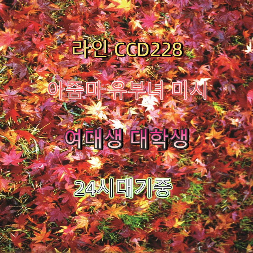 corentine59000's tweet photo. 🎽🥜🦸 #광양 #광��만남 #건오 #광양조건 #ㅈㄱ #조건 #섹트 #오프 https://t.co/ti3eAodU7H