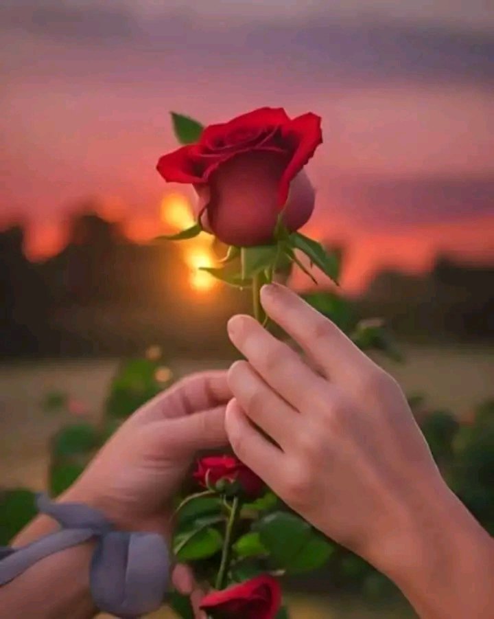 vyulec's tweet photo. @mimohameo https://t.co/jOgT5WBQ3Q