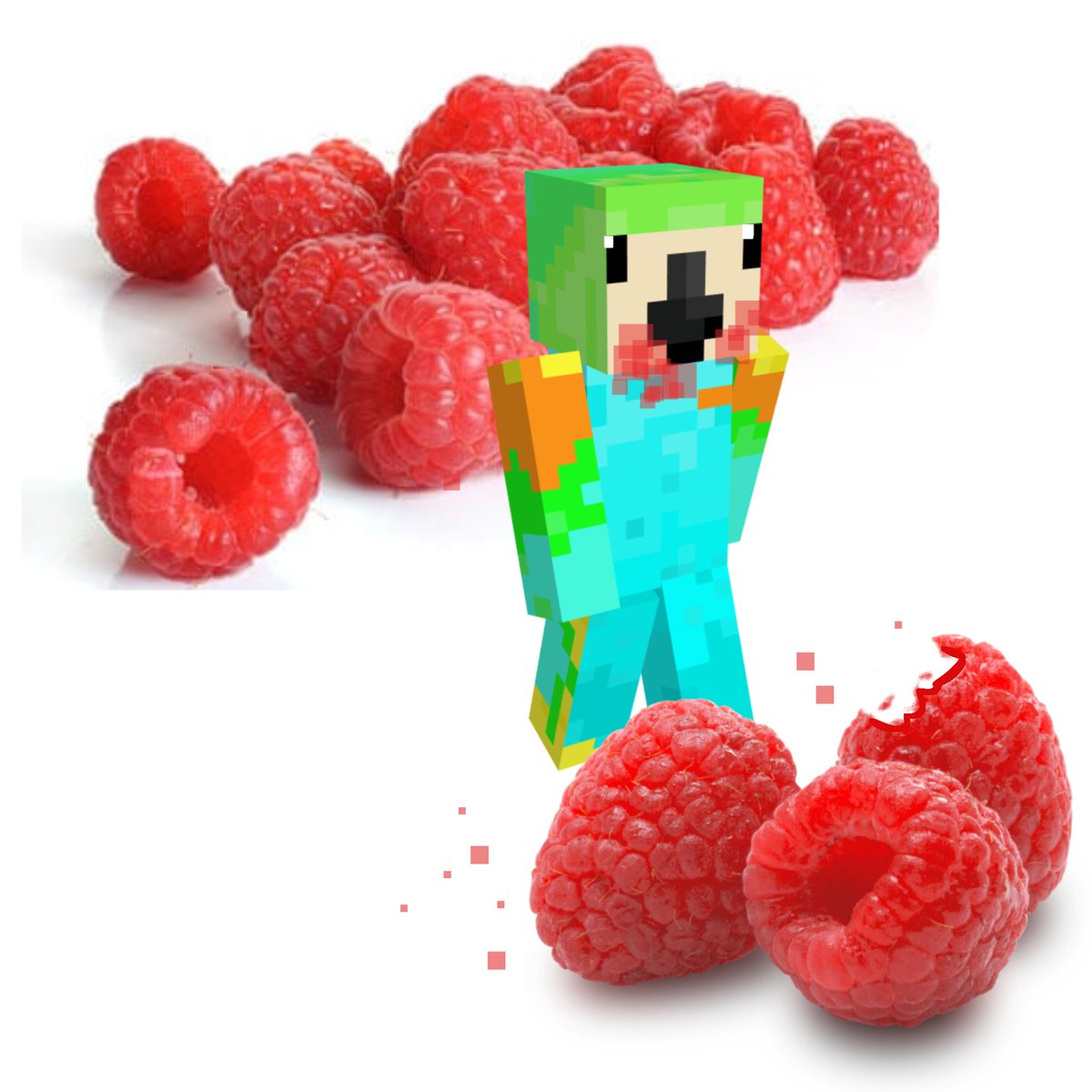 ParrotX2Updates's tweet photo. 🦜 PARROTX2 FAN FACT #47

⭐ His favourite fruit are raspberries! https://t.co/hdFZCzEyZ2