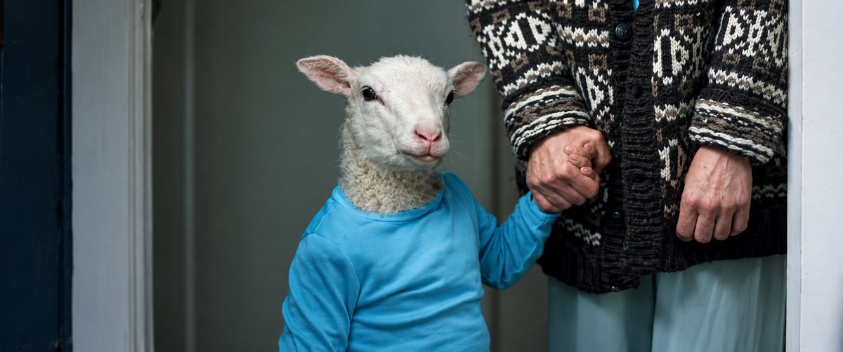 cinemaexplorerr's tweet photo. 🎬 Lamb (2021)
Country : Iceland 🇮🇸

1080p BluRay 📎 https://t.co/QXn9d5Osk1