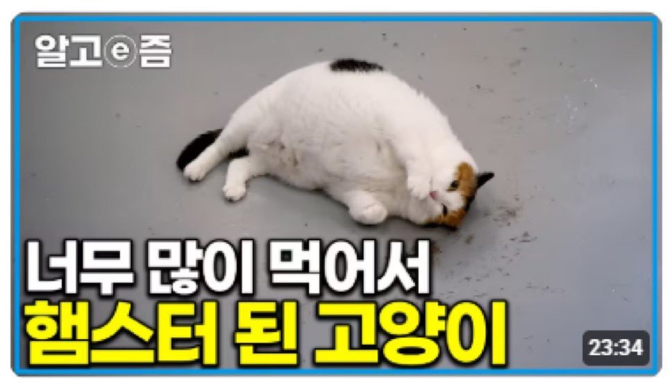 ryu_jj7's tweet photo. #친해지고_싶다_rt_반모하고_싶다_마음_얘는_내_거야_인용_친해지고_싶은데_말을_못걸겠다_멘션_사랑해_디엠

찐따와친구가되어주세요🥹 https://t.co/v6gR1z3r8V