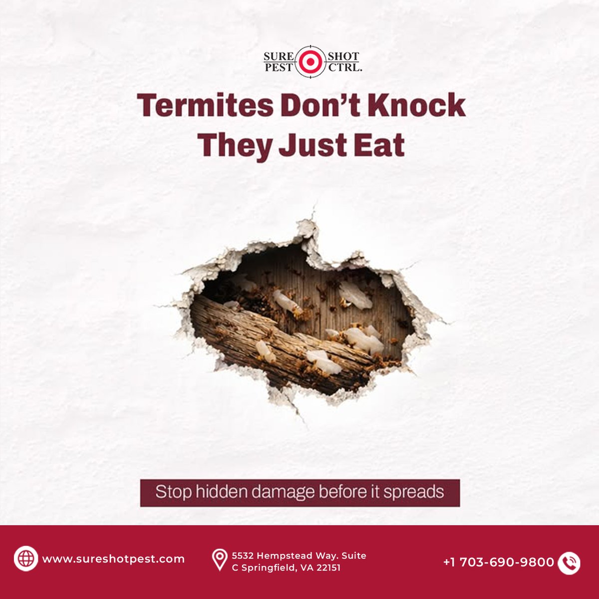 sure_shotpest's tweet photo. Termites don’t knock—they just eat. Hidden activity can damage wood before you see the warning signs. Stay proactive with professional termite inspection and control. 🏠

📞 Call US: +1 703-690-9800
 
🌐 https://t.co/aO95f9C6Ck

#TermiteControl #PestControl #TermiteInspection https://t.co/B2GUY0Ipnk