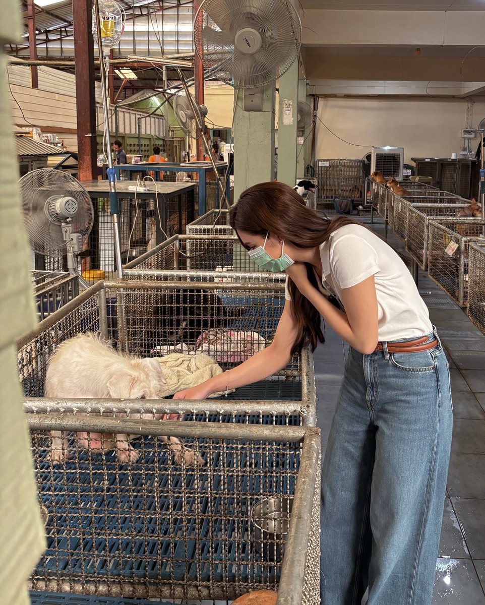 Lalinalena_BR's tweet photo. Eu sinto amor em cada detalhe de tudo o que você faz.
Como não desejar as melhores coisas da vida, a alguém como você?🤍🥹
Obrigada por ser quem és, minha linda 💞 

#lalinalena #ลีน่าลลินา https://t.co/dKCKOGz3XV