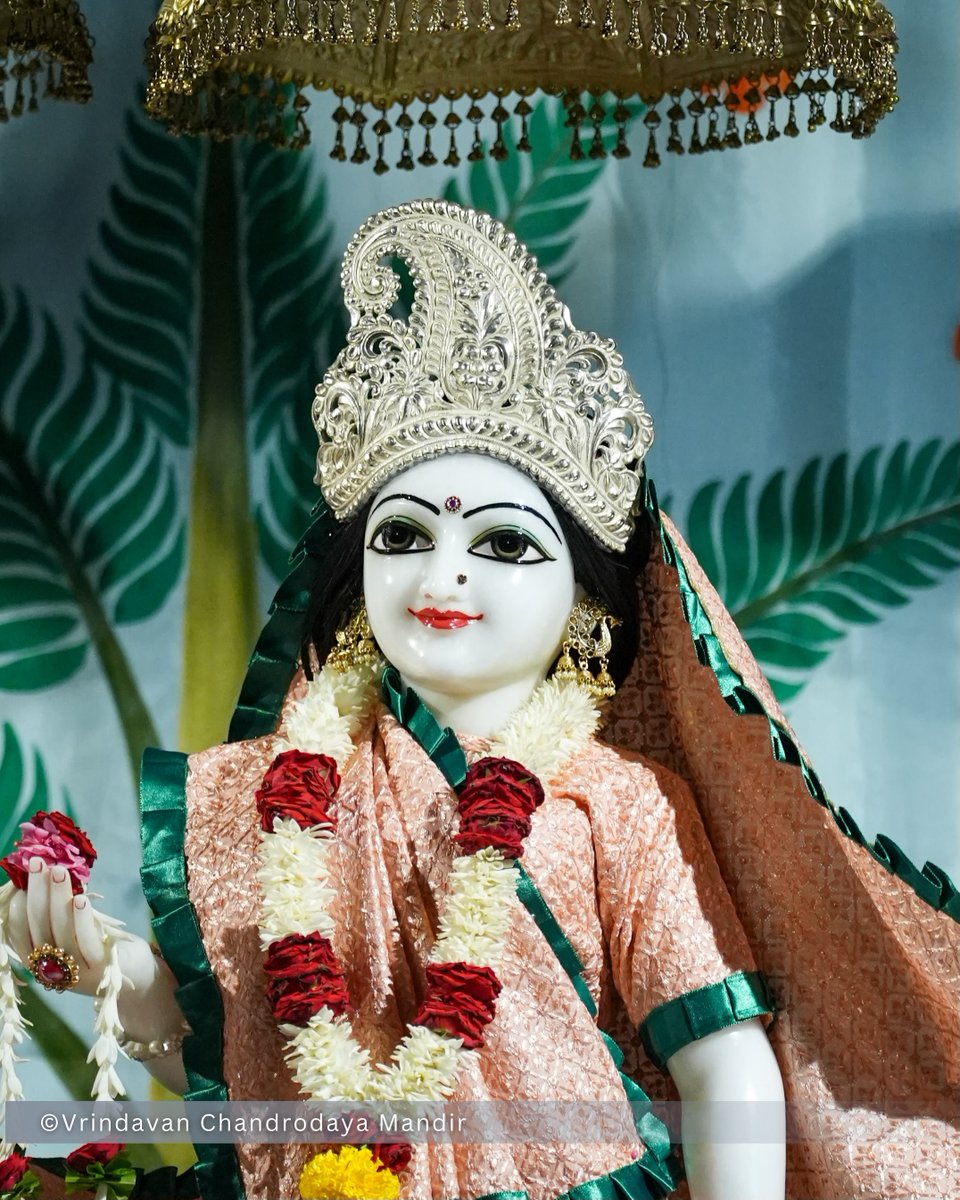 VCMVrindavan's tweet photo. Tonight's Shayana Darshan of Sri Radha Vrindavanchandra - 29 Sep 2026 

#vrindavan #vrindavanchandrodayamandira #Krishna #Radha https://t.co/PYYnF4ORhJ
