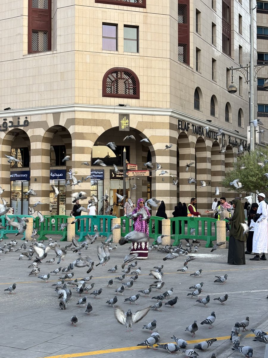 itsSlmlm's tweet photo. شوارع المدينة مريحه وهاديه وجميله اوي اوي 
عايزه اعيش هناك https://t.co/YyxgrMq1jA