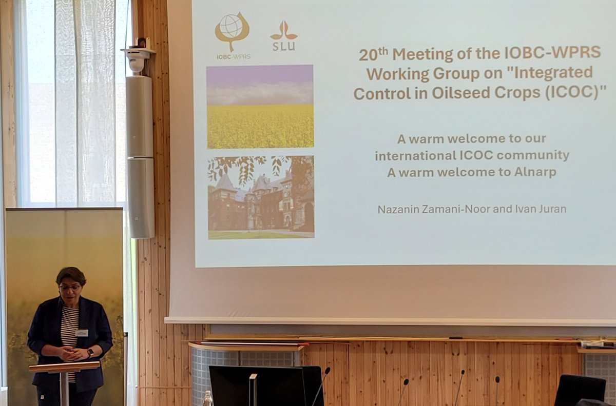 SamCook_IPM's tweet photo. Great to be here at the #IOBC Integrated Control in Oilseeds meeting at #SLU 🇸🇪 👌  with the @Rothamsted contingent! I will be presenting work on #IPM of #CSFB in #OSR funded by @AHDB_Cereals @UnitedOilseeds 🌱 🌻 https://t.co/rUsXnQ9ody
