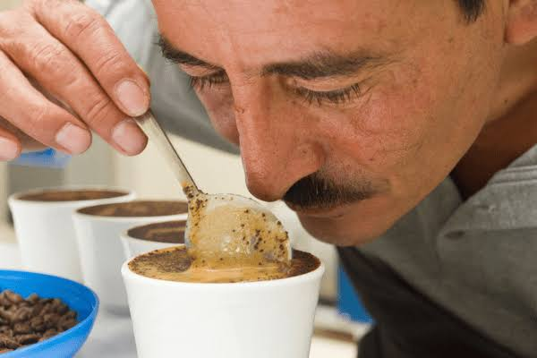TechnoServe's tweet photo. This National Coffee Day, we’re celebrating the farmers who grow it, the work behind every harvest, and the opportunities that can help coffee communities prosper. ☕ https://t.co/Sge0AFvnlg