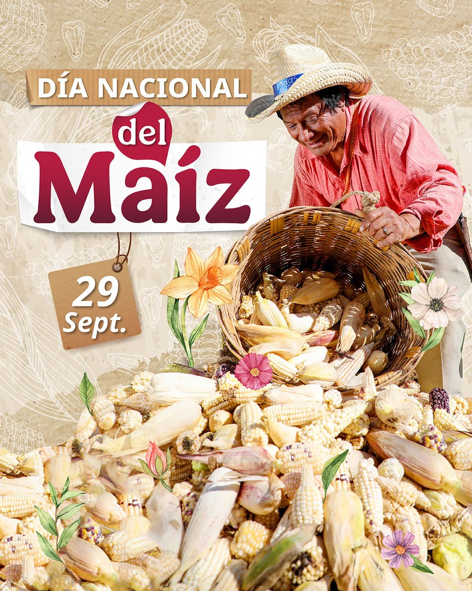 bienestarmx's tweet photo. 🌽 El maíz es alimento, cultura e identidad.

En el #DíaNacionalDelMaíz reconocemos a quienes lo siembran y cultivan, manteniendo viva esta tradición que nos alimenta y nos une.

Con #SembrandoVida acompañamos a quienes hacen del campo un espacio de vida y bienestar. 🌱 https://t.co/xdvAGut2t1