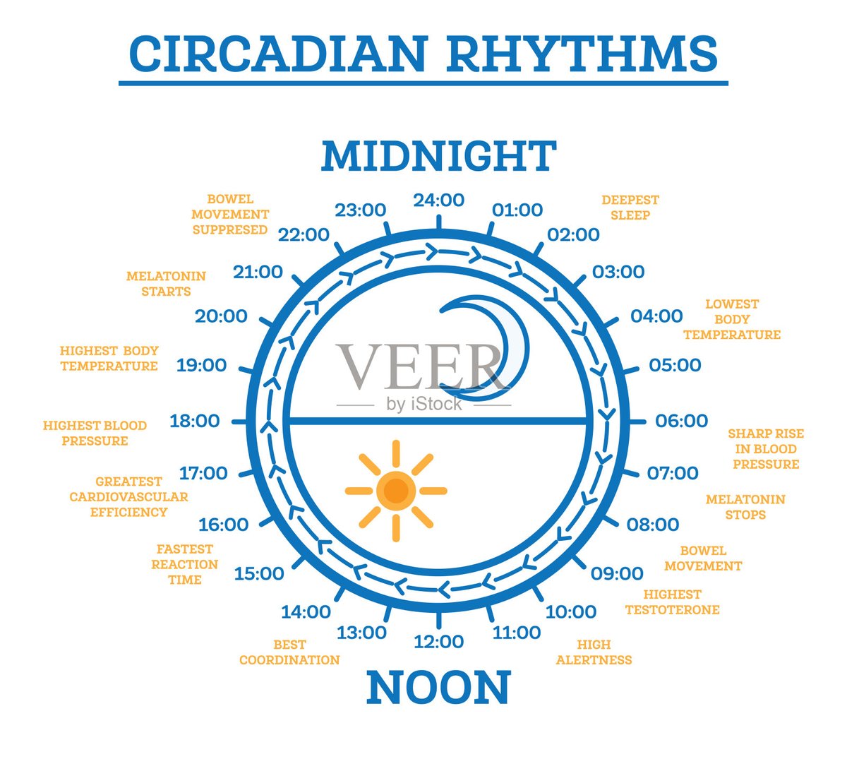 FelipeSzekula's tweet photo. Adjust your bedtime to 11PM, wake at 7AM daily—small changes boost energy, focus and mood. https://t.co/bsmllvPUL4