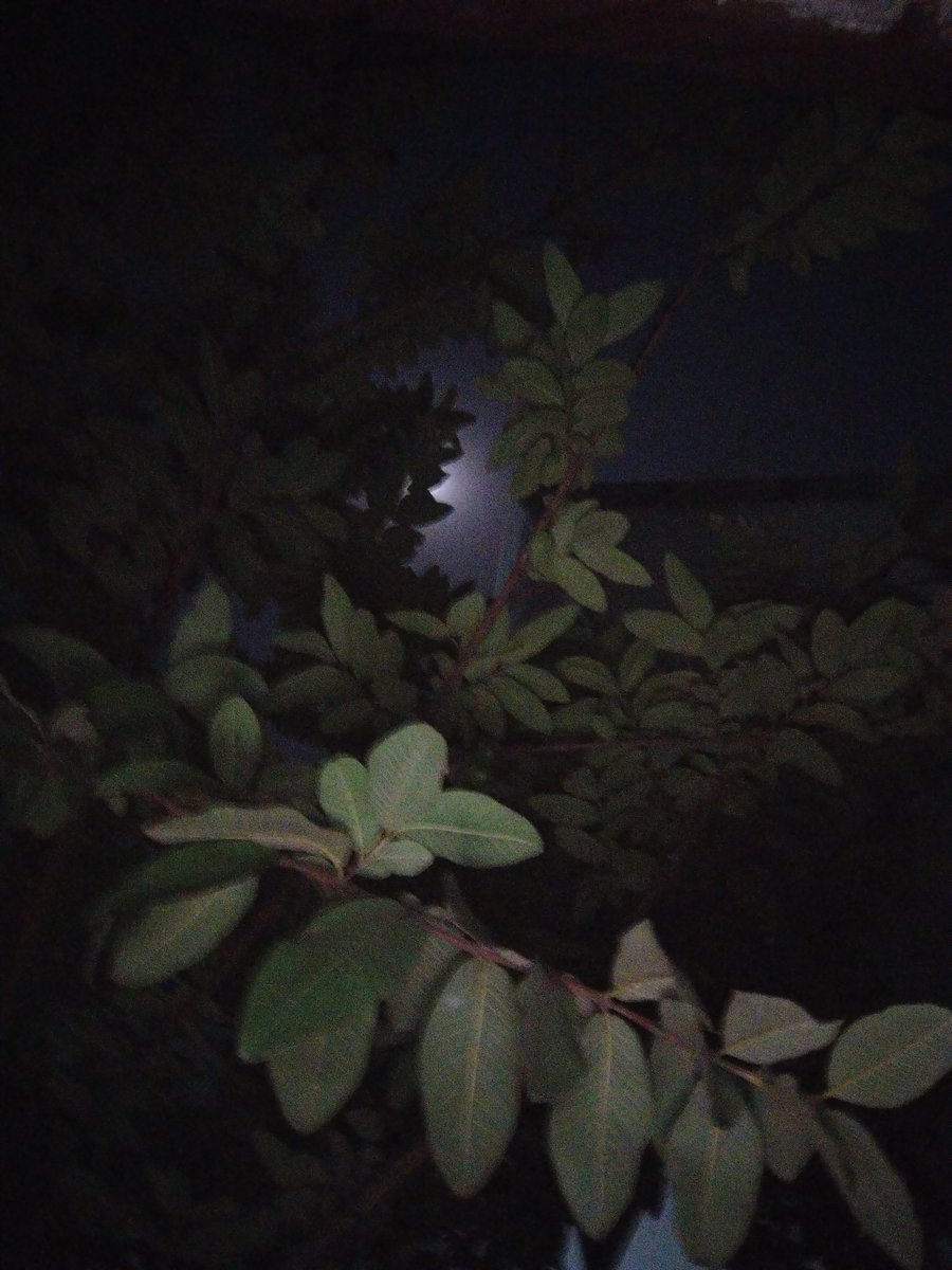 Kworldnature's tweet photo. ♾️ https://t.co/vmQ0bP4mDl