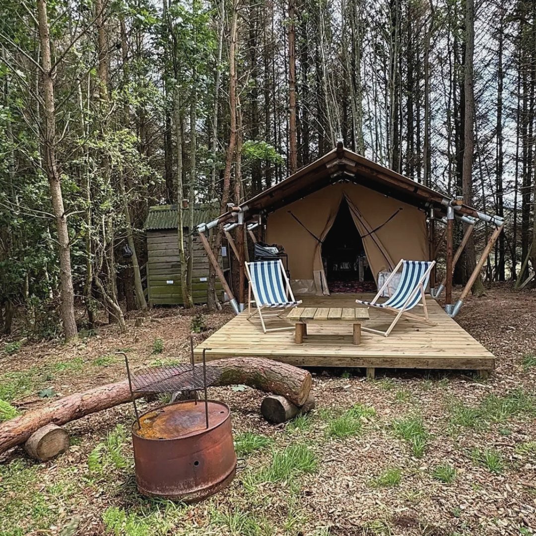 pitchup's tweet photo. A campsite inside an Edwardian walled garden sounds like somewhere worth investigating.
Ruberslaw Wild Woods Camping has flower gardens, an old orchard and wild woodland, with roe deer, foxes, badgers and hares among the trees. 🌿
https://t.co/5x0IF5H3wi
#ScottishBorders https://t.co/4AuoXxopQ1
