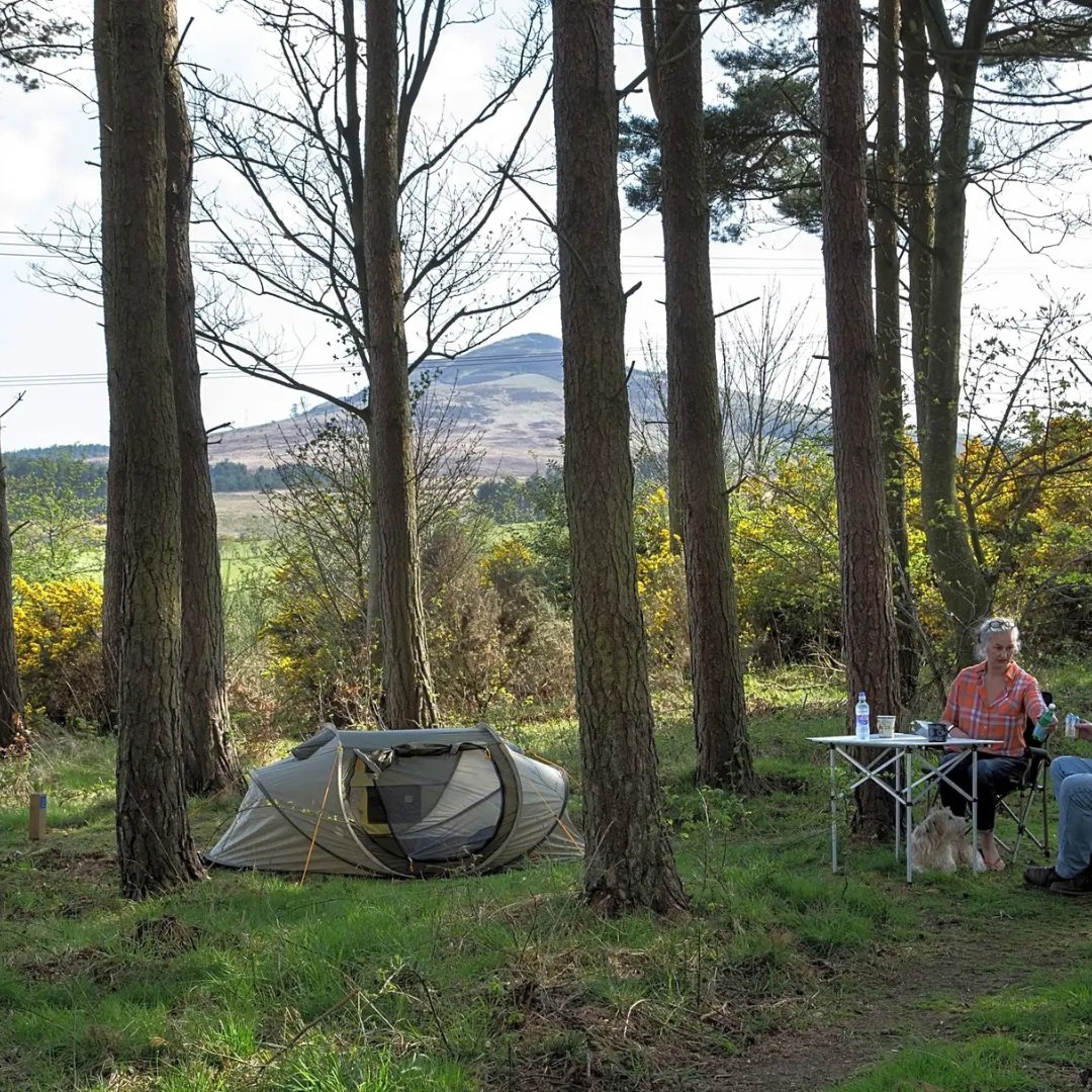 pitchup's tweet photo. A campsite inside an Edwardian walled garden sounds like somewhere worth investigating.
Ruberslaw Wild Woods Camping has flower gardens, an old orchard and wild woodland, with roe deer, foxes, badgers and hares among the trees. 🌿
https://t.co/5x0IF5H3wi
#ScottishBorders https://t.co/4AuoXxopQ1
