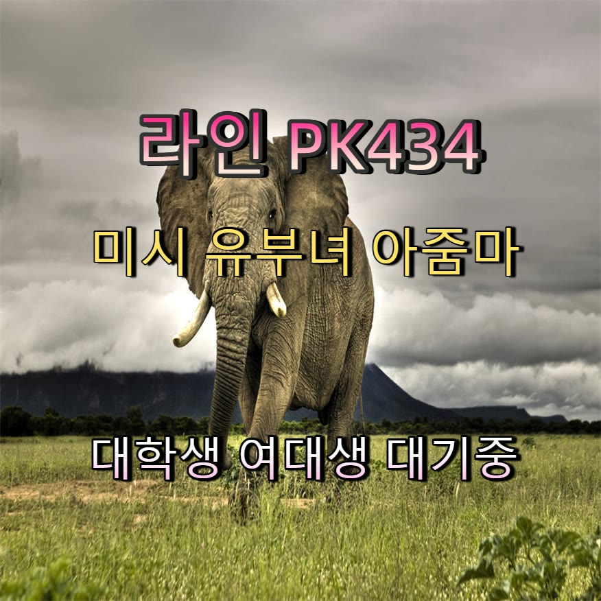 Herexos's tweet photo. ↕🏪🔶 #강북 #강북ㅈㄱ #만남 #강북만남 #맘눌뎀 #ㅈㄱ #ㄱㄷ #섹트 https://t.co/kz9A84DjHs