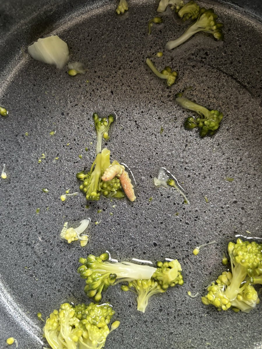 Flisser11's tweet photo. Worms in @asda broccoli - disgusting. This is the 2nd time recently this has occurred. #asda #wormsinfood #sortitout https://t.co/yvqEPBNsti