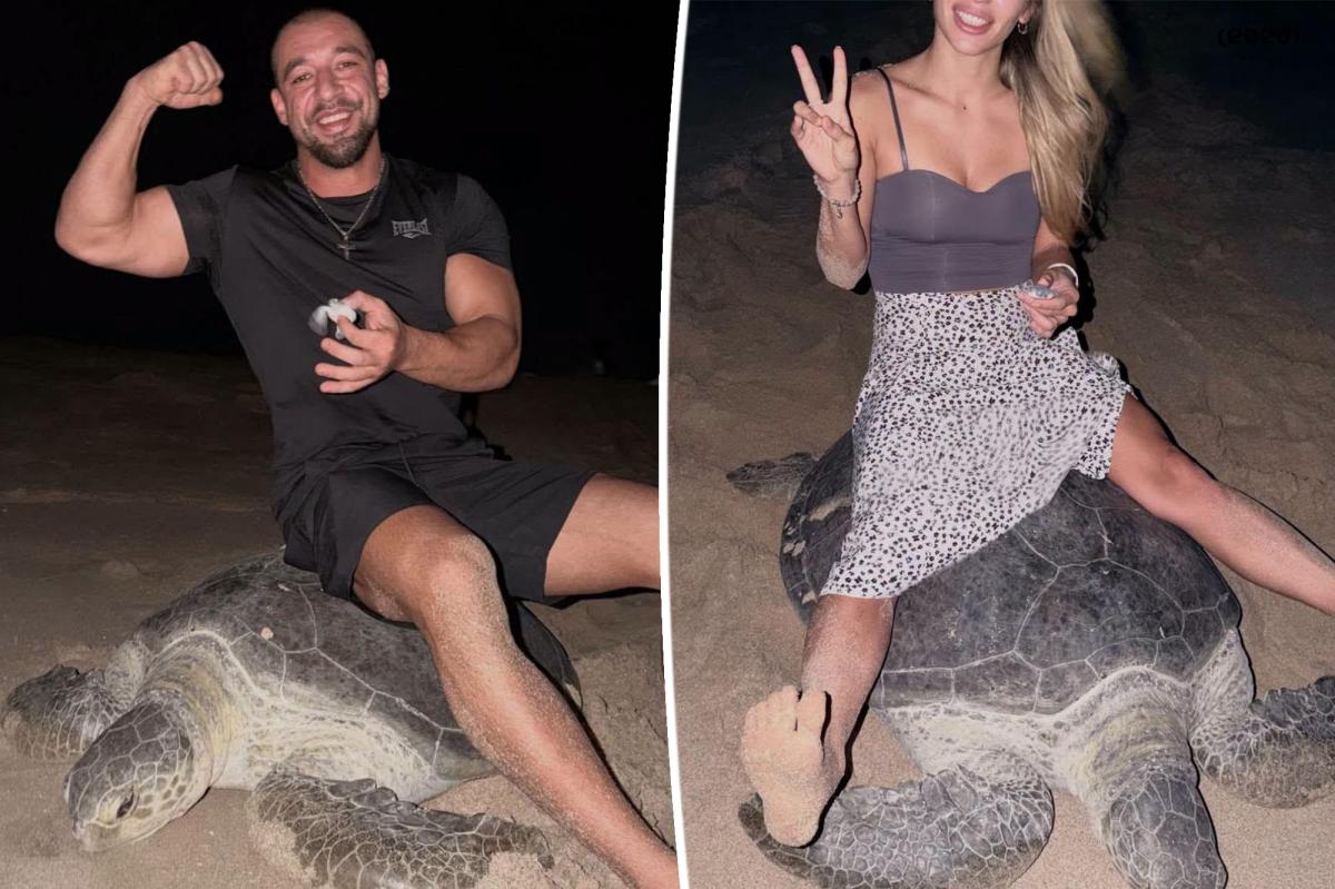 nypost's tweet photo. 'Scum of the earth' tourists ignite international backlash after filming themselves riding egg-laying sea turtle https://t.co/CHnBuPJJ4R https://t.co/fl7oNonuT5