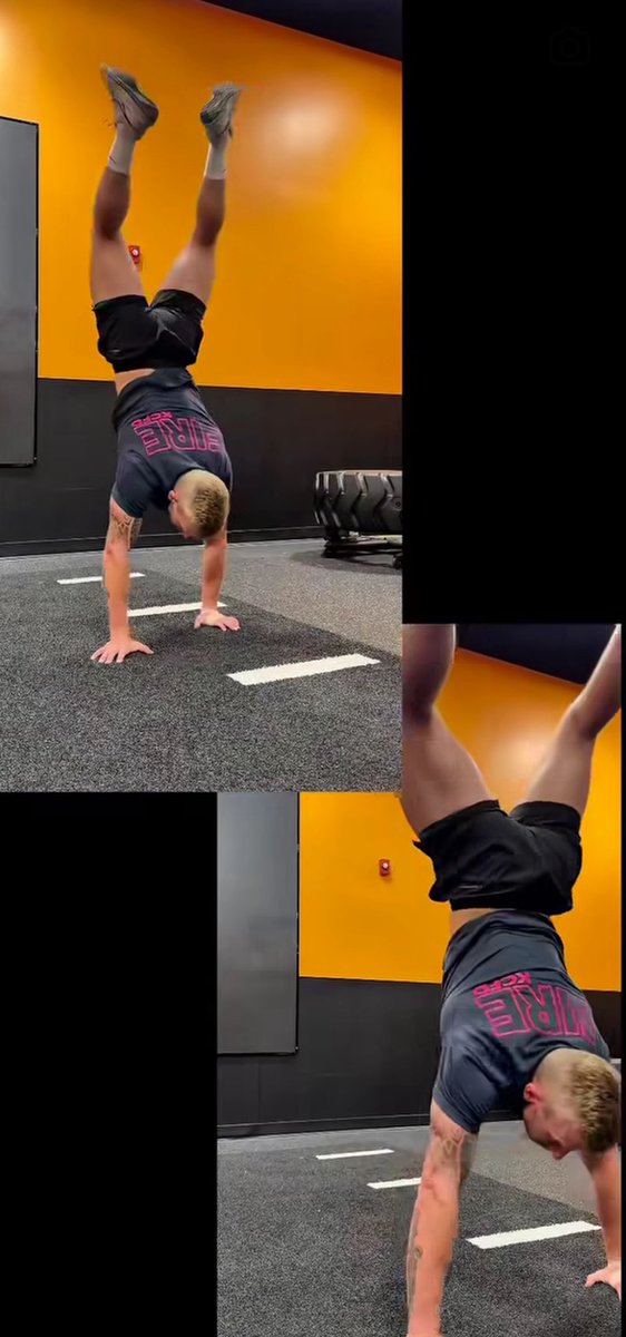 ostentatiousire's tweet photo. Need a workout partner in crime. https://t.co/DMNR2wsYHI