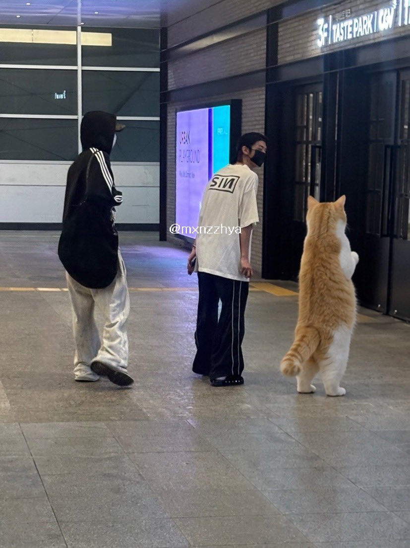 doroongzip's tweet photo. 260929

dohoon was seen hanging out with seeun today! (op said she posted the pic after the time has passed/not in real time) 💙

cr. mxnzzhya https://t.co/I4rI4s1dGE