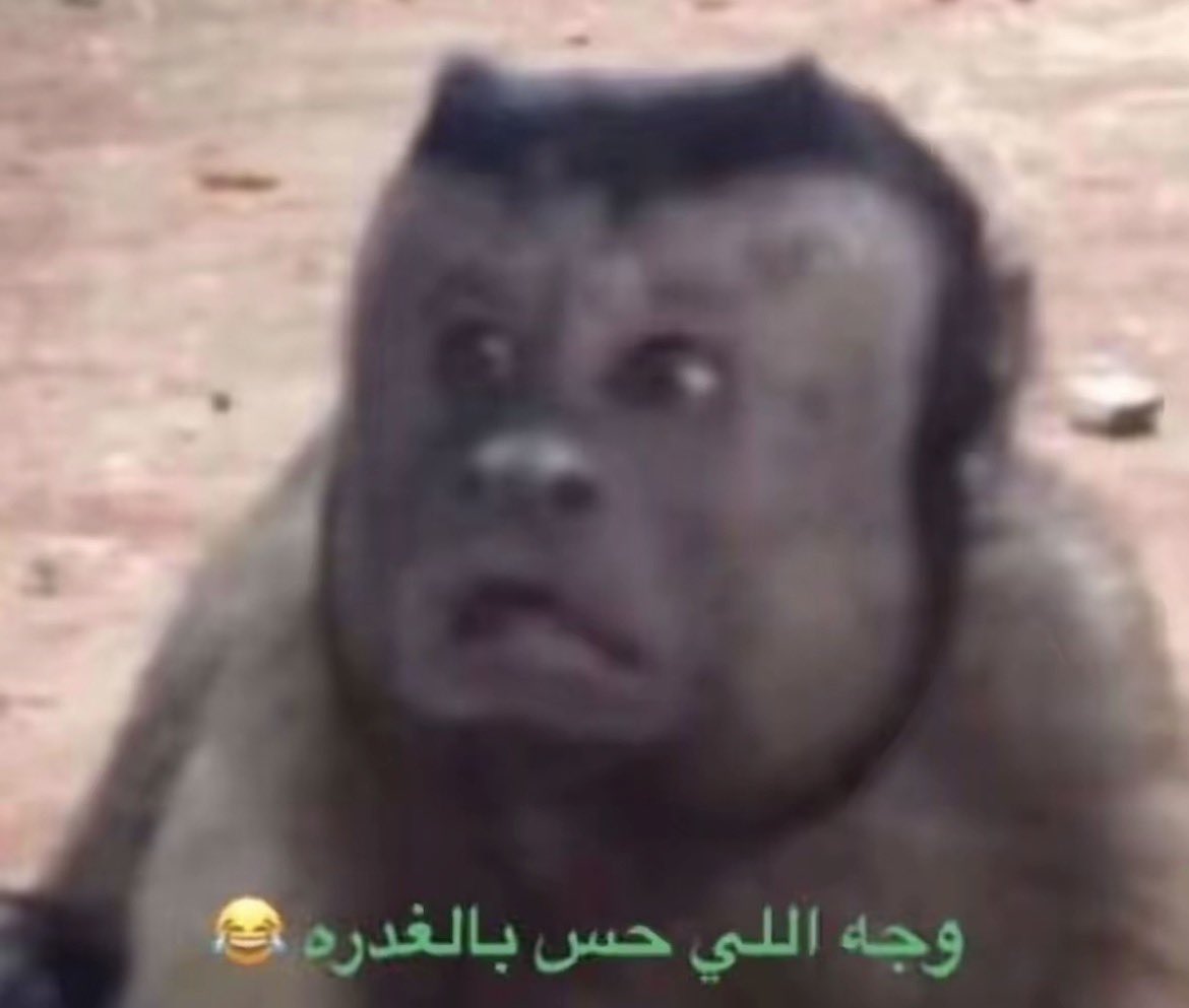 xKhloud7's tweet photo. @kiirvz @POWR_Rakan راكان هههههههه: https://t.co/xAPh85LioE