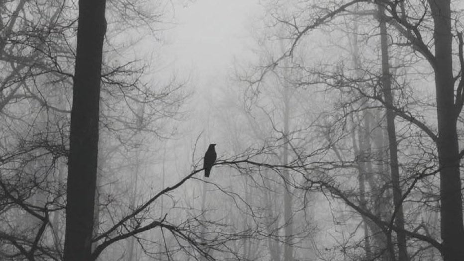 perennialmystic's tweet photo. “To be full of things is to be empty of God.
To be empty of things is to be full of God.”

~ Meister Eckhart https://t.co/LR8PHS3EEP