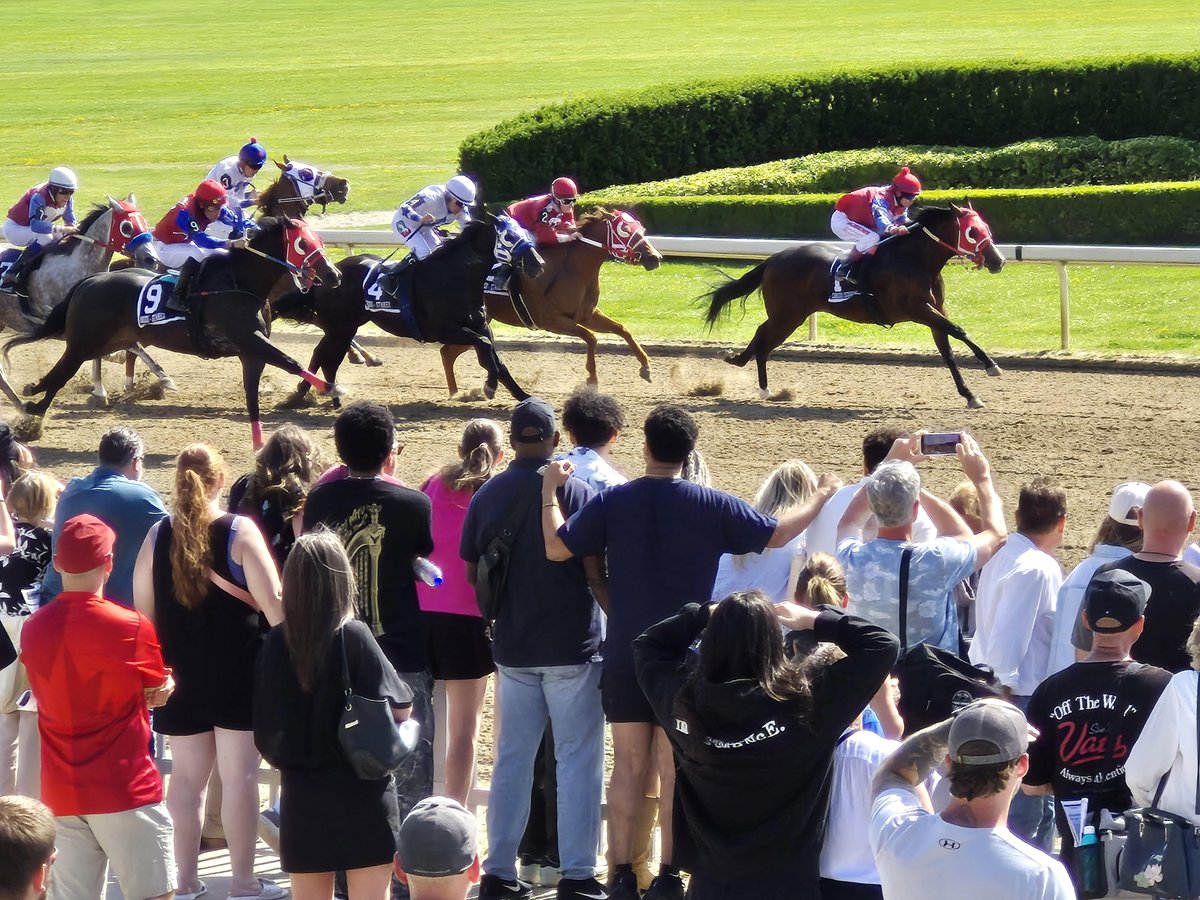 jensblog's tweet photo. Wagering on Quarter Horse Racing @AjaxDowns in 2026 is up 70 percent over 2025. The highest handle in the track's history with 4 race dates remaining. Several race dates broke records for handle.
People with a deep love for the sport, community and horses. #BETONTARIO @ONTRacing https://t.co/yN2j3IQor9
