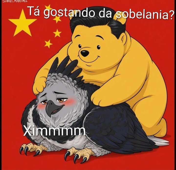 Inoue_Jin_xx's tweet photo. SOBERANIA CHINESA. https://t.co/mKAeOqP5dC