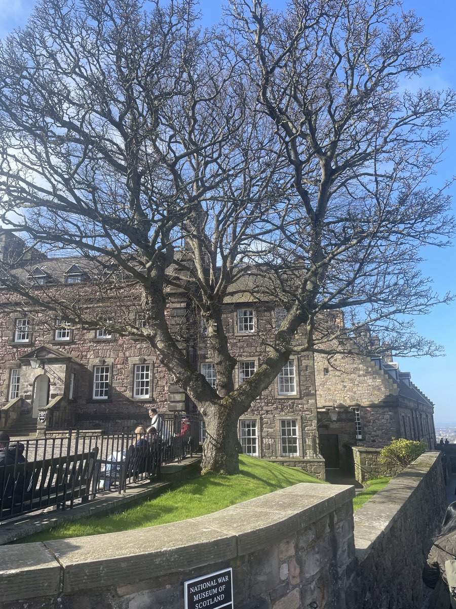 AngySandN's tweet photo. Edinburgh Castle.
#LoveScotland  🏴󠁧󠁢󠁳󠁣󠁴󠁿 https://t.co/DwMUj0T4rT