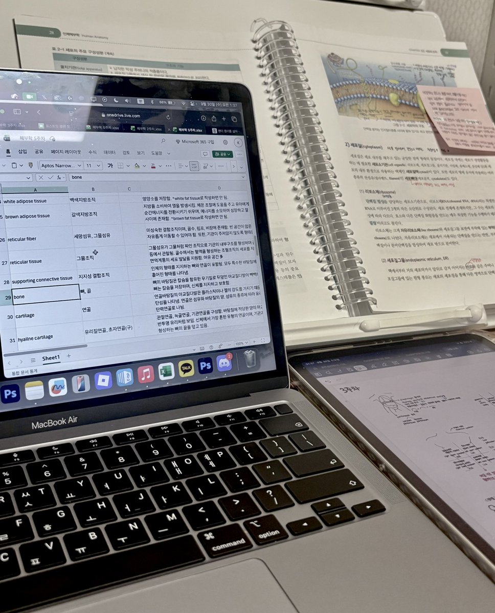 Zz6nq's tweet photo. #studytwt
해부학만 7h
시간은 없는데 생각이 많은 걸 어째 https://t.co/x7Ae9GYgmt