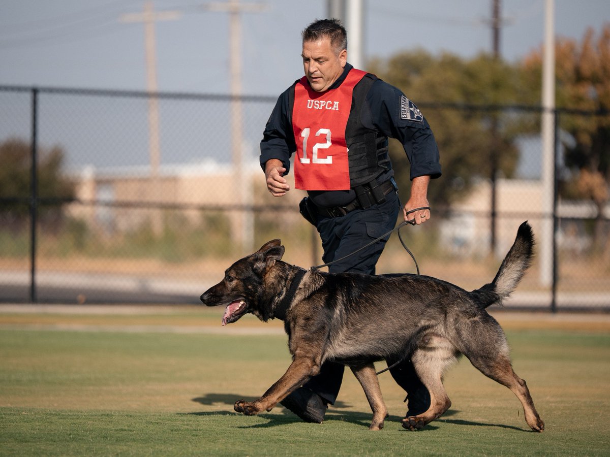 LakeCoILSheriff's tweet photo. Sheriff’s K9 Teams Earn Top Honors at National Police Canine Competition
https://t.co/8g5UjIMeE5 https://t.co/LXOI1qEZ8u