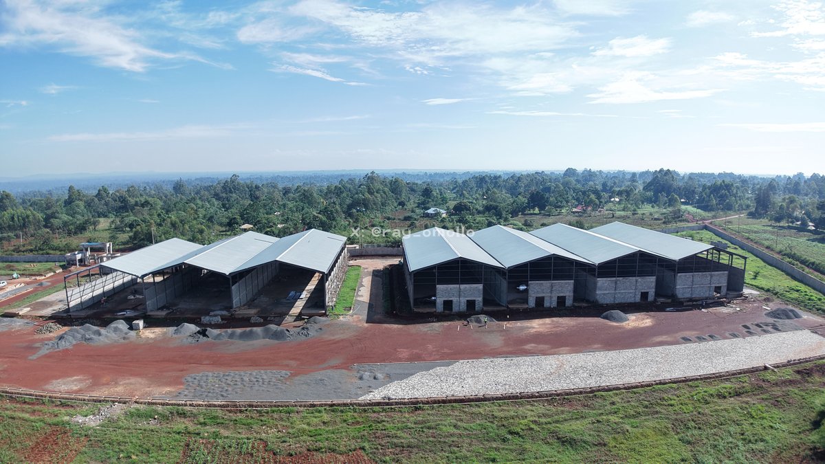 ray_omollo's tweet photo. With agriculture supporting the livelihoods of a large share of Busia's population, the operationalisation of the Nasewa County Aggregation and Industrial Park (CAIP) is set to inject new value into the local economy. 

Jointly funded by the National and County Governments, the park advances the Bottom-Up Economic Transformation Agenda (BETA) by bringing aggregation, processing and value addition closer to farmers.

The facility is nearing completion, with eight godowns comprising aggregation centres, value-addition units and cold-storage facilities, alongside an administrative block and power house. 

Processing equipment for cassava and edible oils will be installed upon handover, creating a platform for farmers to access structured markets, reduce post-harvest losses and earn more from their produce.

The park will support key value chains including cassava, edible oils and cotton, while creating jobs and opportunities across farming, processing, transport and trade. 

Its integration with the wider industrial corridor is expected to deepen Busia's participation in regional and international markets.

Implementation is being coordinated with the State Department for Internal Security and National Administration to strengthen security, inter-agency coordination and community engagement around the emerging industrial hub, restoring investor confidence in the region and country at large.