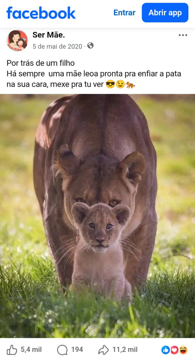 FelinaQueenka's tweet photo. ALERTA NOME DO FANDOM!! 
Como meu nome é Felina os meus mutuals vão ser meus gatinhos https://t.co/n29eT9XHcD